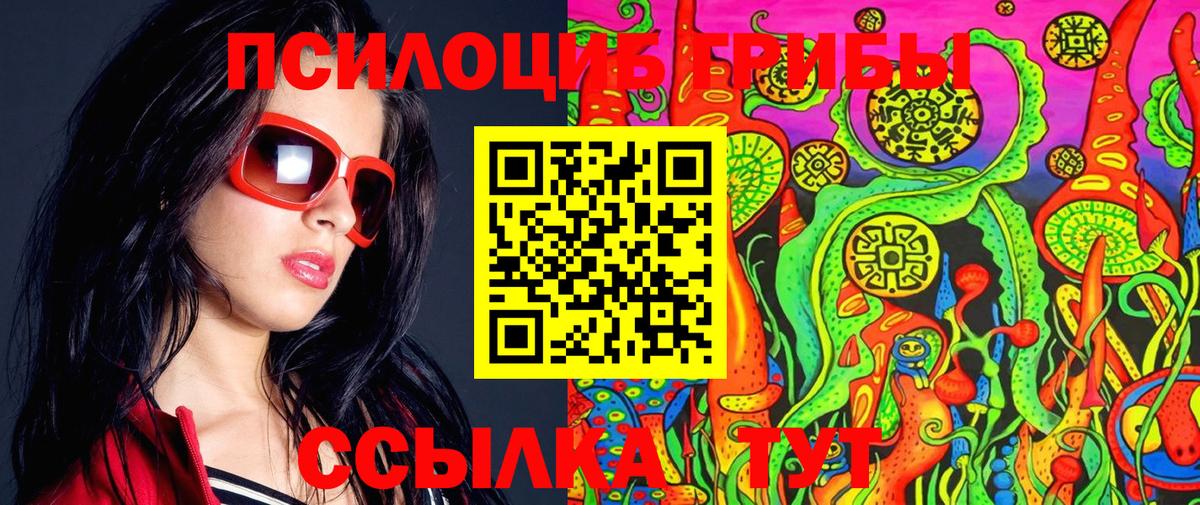Псилоцибиновые грибы Psilocybine cubensis  Вход с VPN  где купить наркотик  Владивосток 