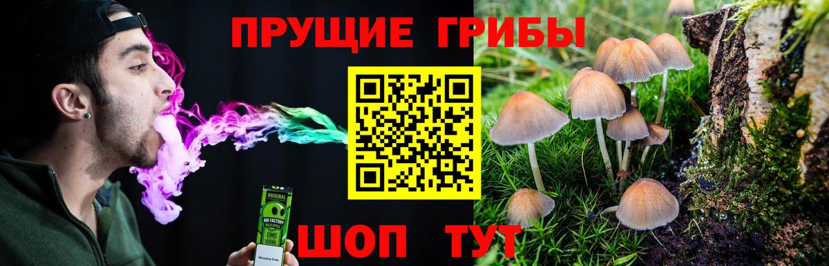 Псилоцибиновые грибы Cubensis Владивосток